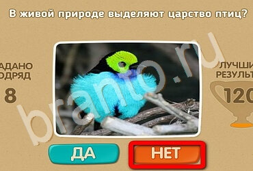 Проверь себя игра помощь Уровень 2835