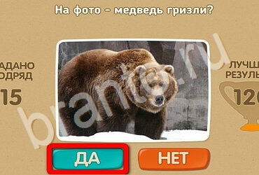 Проверь себя решения Уровень 2842