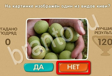 Проверь себя игра ответы Уровень 2843