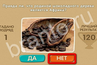 Решения на игру Проверь себя Уровень 2853