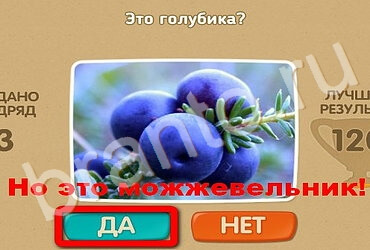 ответы к игре Проверь себя Уровень 2855