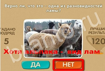 решебник на игру Проверь себя Уровень 2861