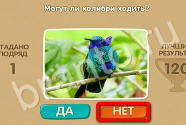 Проверь себя игра ответы Уровень 2863