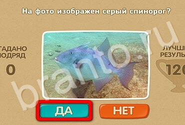 Проверь себя игра подсказки Уровень 2874