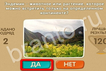 Игра Проверь себя подсказки Уровень 2878