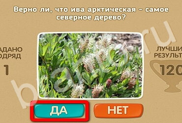 игра Проверь себя ответ на Уровень 2880