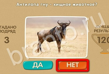 Одноклассники Проверь себя ответы Уровень 2888