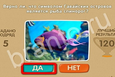 Проверь себя ответы в картинках Уровень 2896