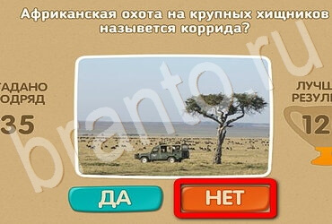 Проверь себя решения Уровень 2982