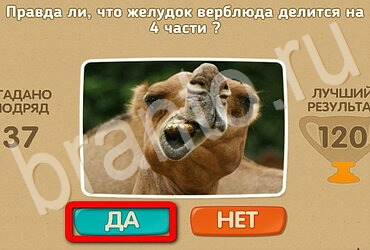 Проверь себя игра подсказки Уровень 2984