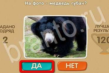 Проверь себя решения Уровень 2992