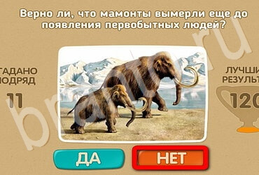 ответы на игру Проверь себя в одноклассниках Уровень 3001