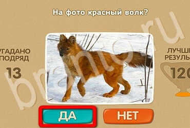 Решения на игру Проверь себя Уровень 3003