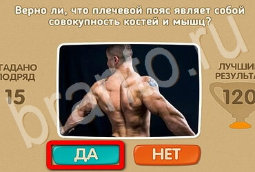 ответы к игре Проверь себя Уровень 3005