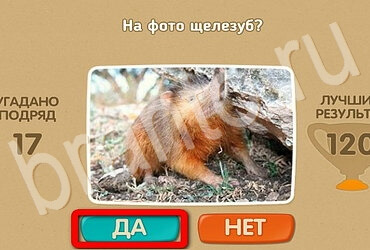 Проверь себя игра ответы в одноклассниках Уровень 3007