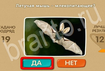 Проверь себя подсказки одноклассники Уровень 3009