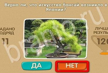 Проверь себя ответы в картинках Уровень 3026