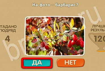 Подсказки на игру Проверь себя Уровень 3032