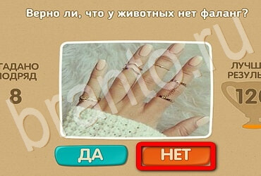 ответы на игру в одноклассниках Проверь себя Уровень 3036