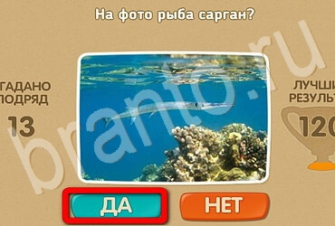 решебник на игру Проверь себя Уровень 3041