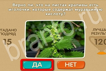 Проверь себя игра ответы Уровень 3043