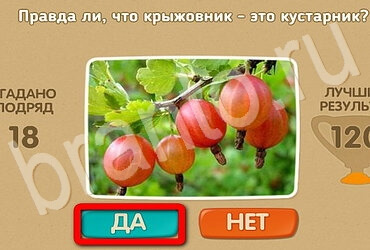 Проверь себя ответы в картинках Уровень 3046