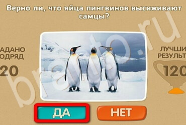 Игра Проверь себя подсказки Уровень 3048