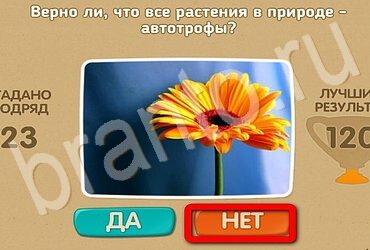 решебник на игру Проверь себя Уровень 3051