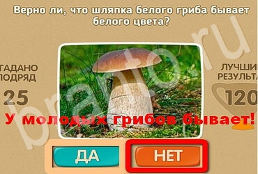 Проверь себя игра ответы Уровень 3053