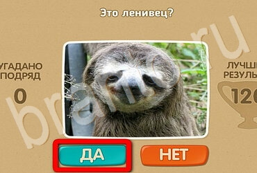 Проверь себя игра подсказки Уровень 3054