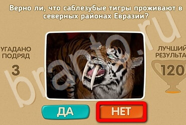 Игра Проверь себя ответы Уровень 3057