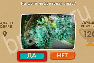 Решения на игру Проверь себя Уровень 3063