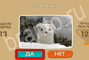 игра Проверь себя ответ на Уровень 3080