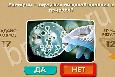 Проверь себя игра подсказки Уровень 3084