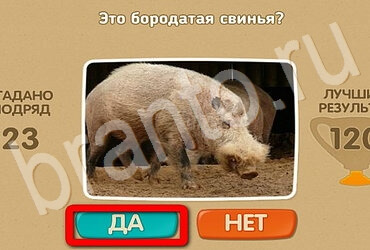 игра Проверь себя ответ на Уровень 3090