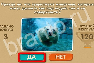 Решения на игру Проверь себя Уровень 2913