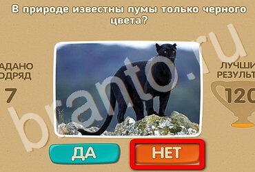 Проверь себя игра ответы в одноклассниках Уровень 2917