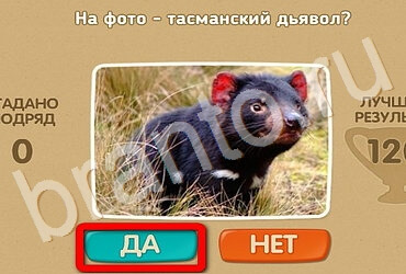 Проверь себя игра ответы Уровень 2923