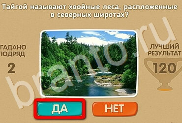 Проверь себя игра помощь Уровень 2925