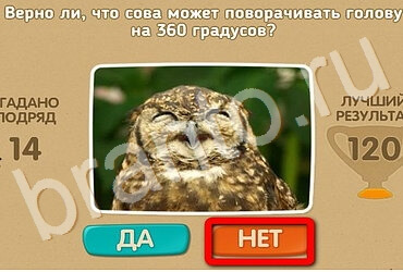 ответы на игру в одноклассниках Проверь себя Уровень 2946