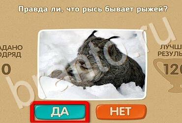 Проверь себя игра ответы в одноклассниках Уровень 2947