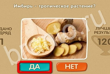 Одноклассники Проверь себя ответы Уровень 2948