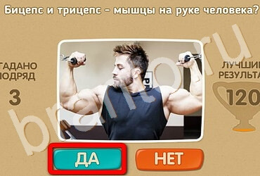 игра Проверь себя ответ на Уровень 2950