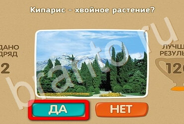 игра Проверь себя помощь Уровень 2959