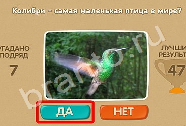 игра Проверь себя ответ на Уровень 270