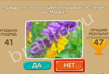 Проверь себя игра подсказки Уровень 344
