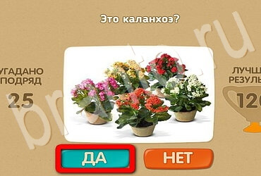 Подсказки на игру Проверь себя Уровень 3092