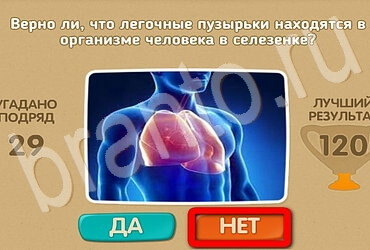ответы на игру в одноклассниках Проверь себя Уровень 3096