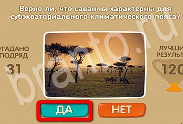 Одноклассники Проверь себя ответы Уровень 3098