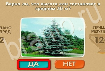 Проверь себя ответы в картинках Уровень 3106